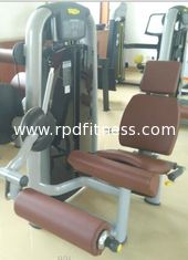 China Cushions for Gym Equipment supplier